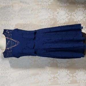 Sangria Gorgeous Navy Blue Open Lace Fit and Flare Dress